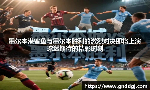 墨尔本港鲨鱼与墨尔本胜利的激烈对决即将上演球迷期待的精彩时刻